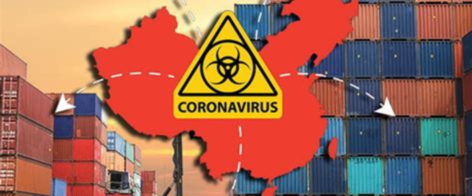 The Impact of COVID-19 on Freight Transportation: Challenges and Adaptations